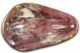 Colorful Polished Petrified Wood Bowl - Madagascar #346827-1